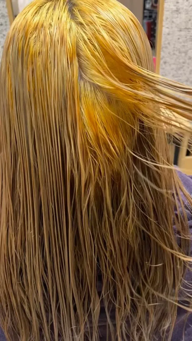 ㅤㅤㅤㅤㅤㅤㅤㅤㅤㅤㅤㅤㅤㅤㅤㅤㅤㅤㅤㅤㅤㅤㅤㅤㅤㅤ